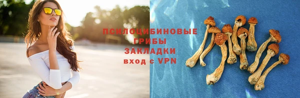 кокаин Белокуриха