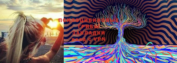 кокаин Белокуриха